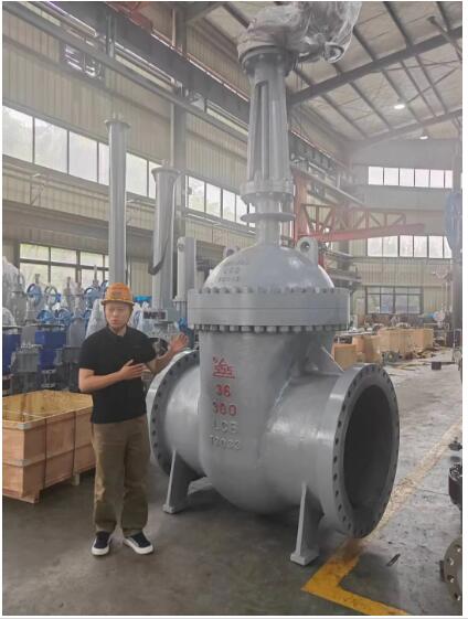 行走閥門江湖數(shù)十載！挺宇流體智能化新工廠預(yù)計(jì)2026年10月投入使用，開(kāi)啟文化傳播新篇章